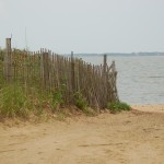 Cape Cod Fence