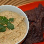 Chicken enchilada dip